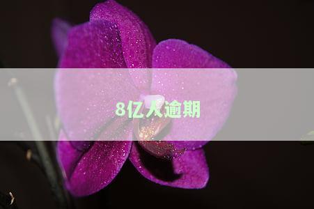 7.8亿人逾期：负债总额达数十亿，近半数存在逾期风险