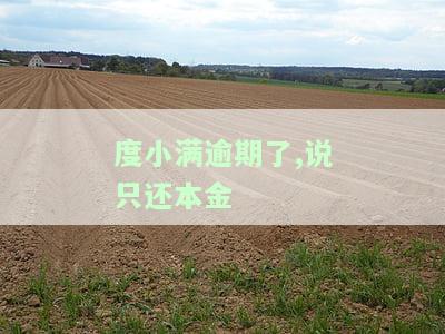 度小满逾期可以只还本金吗，度小满逾期：能否只还本金？