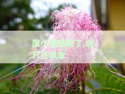 度小满逾期了,说只还本金