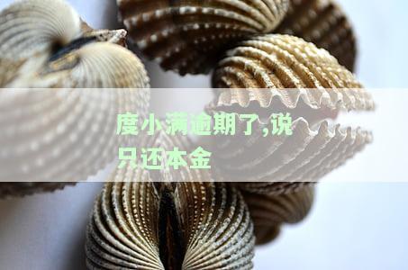 度小满逾期了,说只还本金-度小满逾期可以只还本金吗