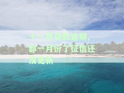 十一月贷款逾期,都一月份了征信还没更新-11月逾期