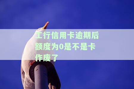工行信用卡逾期后额度为0是不是卡作废了-工行信用卡逾期后额度为0是不是卡作废了呢