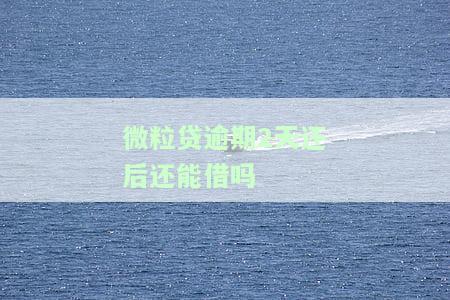 微粒贷逾期两天还清后还可以再借款吗？
