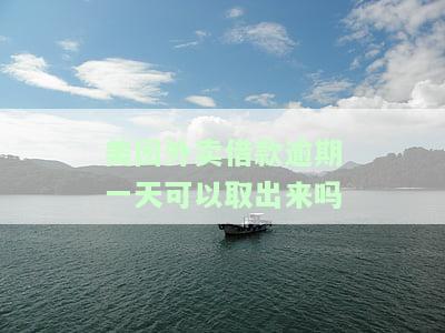 美团外卖借钱逾期了一个星期会上征信吗，美团外卖借钱逾期一周是否会影响个人征信？
