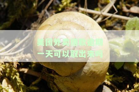 美团外卖借款逾期一天可以取出来吗-美团外卖借款逾期一天可以取出来吗安全吗