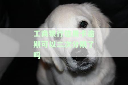 工商银行信用卡逾期能否二次分期？安全可靠吗？