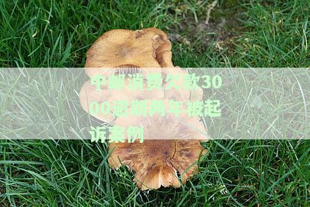 中邮消费欠款3000逾期两年被起诉案例，逾期两年未还，中邮消费被诉欠款3000元