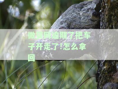 微贷网逾期后车辆被拖走，如何拿回欠款？
