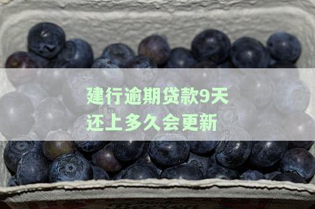 建设银行逾期10天还款后什么时候能贷款，逾期10天还清建设银行欠款后，何时可以再次申请贷款？