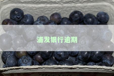 浦发银行逾期两个月说要上门？真会上门吗？会影响母吗？
