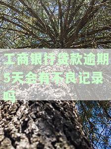 工商银行贷款逾期5天会有不良记录吗-工商银行贷款逾期5天会有不良记录吗