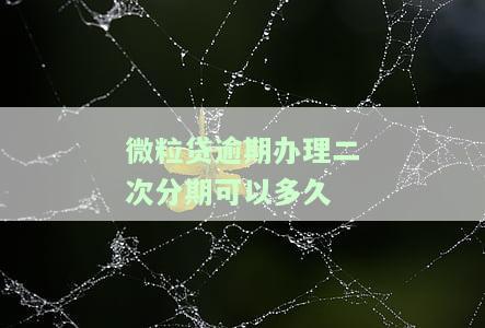 微粒贷逾期二次分期案例全面解析