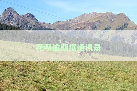 花呗逾期爆通讯录的短信截图：全面揭示催收手与应对策略