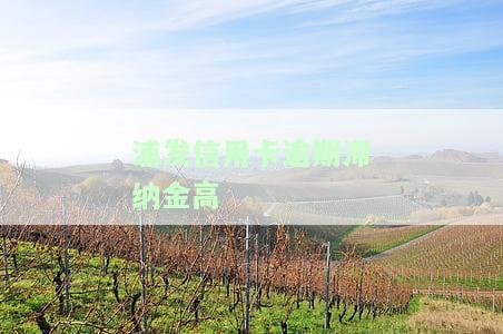 2017年浦发信用卡逾期，警惕！浦发信用卡逾期问题在2017年频发，你是否也中招了？