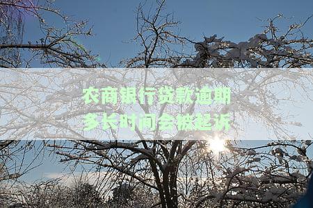 农商贷款逾期处理办法及所需手续