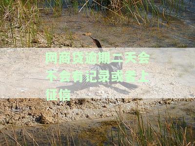 网商贷逾期二天会不会有记录或者上征信的记录，网商贷逾期两天会留下记录吗？影响征信吗？