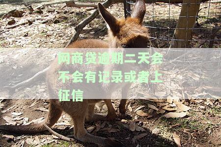 网商贷逾期2天会如何影响你的信用卡？