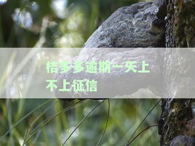 桔多多逾期2天还进去还能继续贷吗，桔多多逾期两天还款后，能否继续申请贷款？