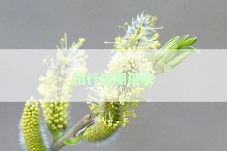 招行催款电话令人烦：021号码频繁响起，你被催了吗？
