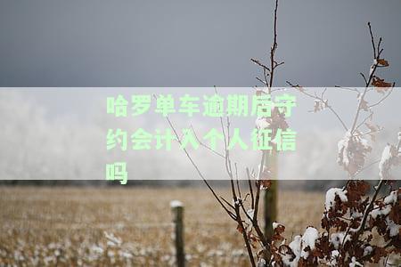 哈罗单车逾期后守约会否计入个人征信？安全性如何？
