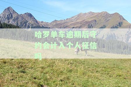 哈罗单车逾期后守约会计入个人征信吗-哈罗单车逾期后守约会计入个人征信吗