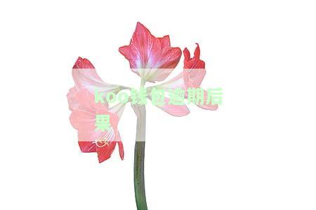 koo钱包逾期利息会增加吗，Koo钱包：逾期未还，利息是否会上涨？