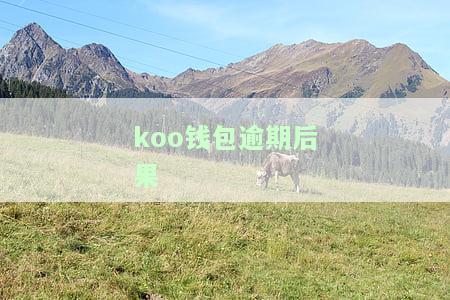 Koo钱包借钱：上征信吗？好通过吗？查征信吗？