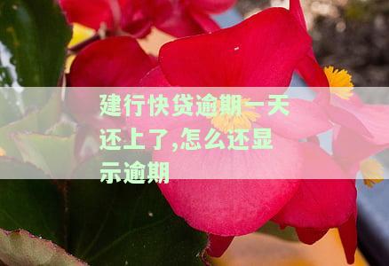 建行快贷逾期一天会影响以后的贷款吗？——知乎用户分享经验与看法
