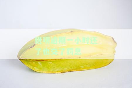 借呗逾期一小时还了也交了罚息吗，借呗逾期一小时后还款，是否需要支付罚息？