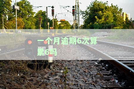 一个月逾期六次，严重违约：一个月内逾期六次！