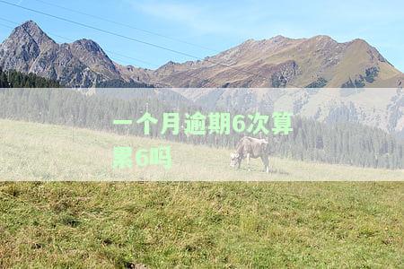 一个月逾期三次怎么办？如何解决连续三个月的逾期问题？