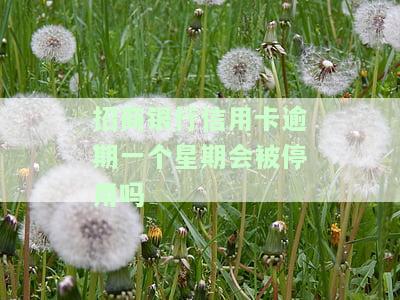 招商银行信用卡逾期一个星期会被停用吗知乎，【求助】招商银行信用卡逾期一周是否会被停用？