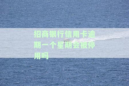 招商银行信用卡逾期一周会被停用吗？解决方法及影响解析