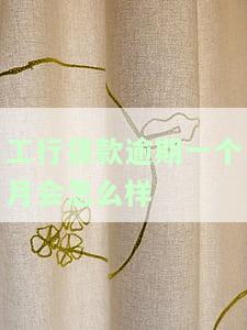 工商银行贷款逾期1天会有不良记录吗，工商银行贷款逾期1天会产生不良记录吗？