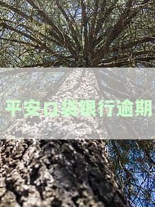 平安口袋银行逾期两期还不上钱，律师催款，协商解决办法