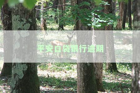 平安口袋银行逾期一个月会扣罚息吗，平安口袋银行：逾期一个月是否会被扣罚息？