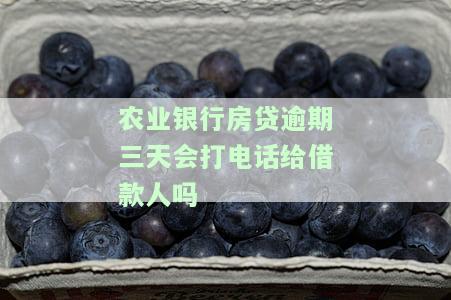 农业银行房贷逾期三天是否会打电话给借款人？