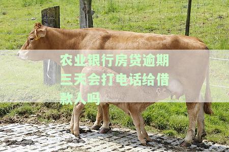 中国农业银行房贷逾期三天会上征信吗，关于中国农业银行房贷逾期三天是否会影响征信的问题