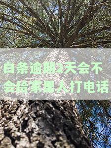 白条逾期2天是否会电话催收给家人？