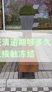 逾期结清后多久可以再次借款？影响因素与恢复时间解析