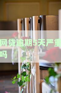 网贷逾期5天严重吗？解决方案全解析