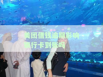 美团借钱逾期还进去还可以再借出来吗，美团借钱逾期还款后，还能再次借款吗？
