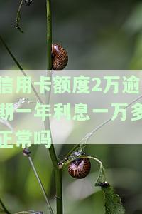 信用卡2万逾期一年要还多少本金及利息？