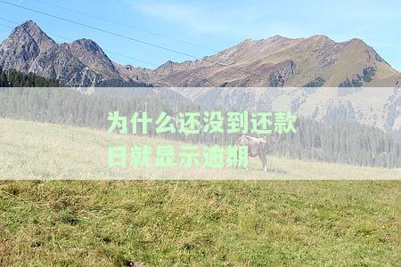 还没到还款日就还款了，多次操作后仍需偿还，如何解决？