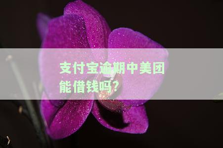 支付宝逾期后，还能在美团借钱吗？安全可靠吗？