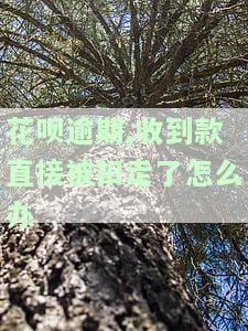 花呗逾期,收到款直接被扣走了怎么办-花呗逾期,收到款直接被扣走了怎么办呢