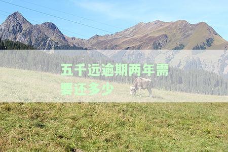 5000块钱逾期两年利息多少？影响还款金额的因素是什么？