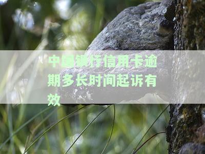 中国银行信用卡逾期多长时间起诉有效啊，关于中国银行信用卡逾期的诉讼时效问题