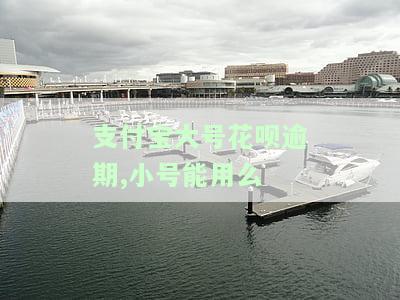 支付宝大号花呗逾期，小号能否使用？安全性如何？