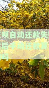 花呗自动还款失败后第二天还会自动还款吗，花呗自动还款失败后，次日会再次尝试自动还款吗？